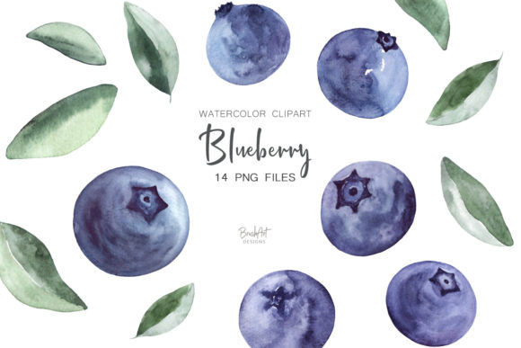 Download Blueberries Watercolor Clipart - Art Collection