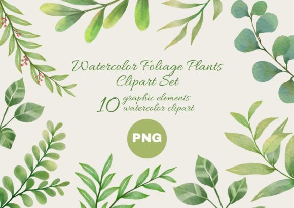 Download Watercolor Foliage Plants Clipart Set - Art Collection