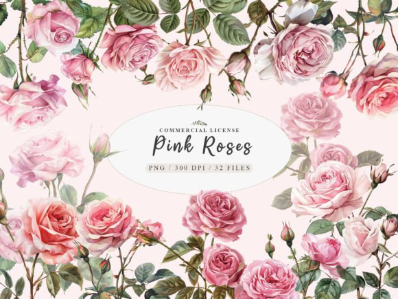 Download Watercolor Pink Rose Clipart, Blush Rose - Art Collection