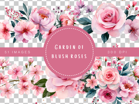 Download Garden Rose Blush Watercolor Floral Clip - Blush Collection