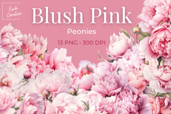 Download Blush Pink Peonies Watercolor Flowers - Blush Collection