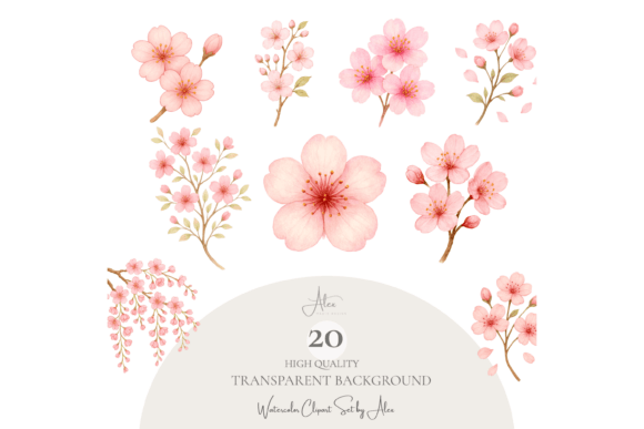 Download Cherry Blossom Clipart Set PNG - Art Collection