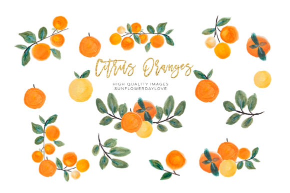 Download Orange Clip Art, Oranges Fruits Clipart - Premium Bundle